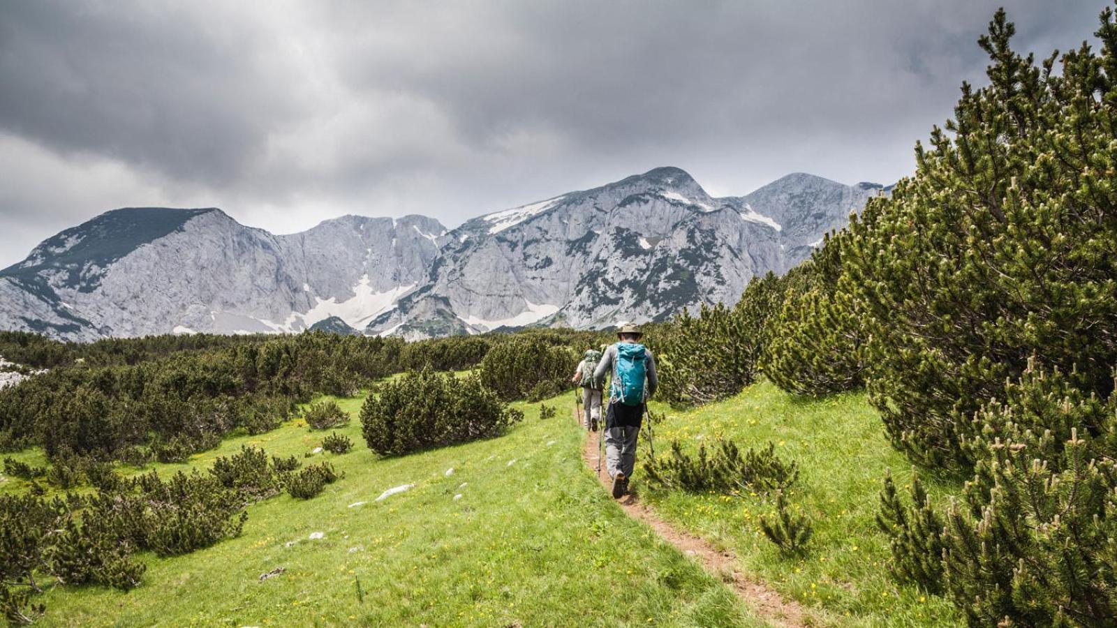 Turisticki Kompleks - Montana Tjentiste Εξωτερικό φωτογραφία